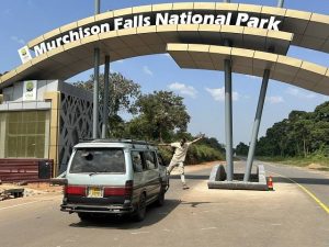 Murchison Falls National Park entrance, where UWA's fees spark concerns among locals and travelers