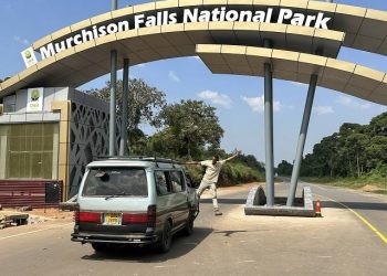Murchison Falls National Park entrance, where UWA's fees spark concerns among locals and travelers