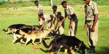 Police dog successfully locates stolen-saving box containing sh9 million
