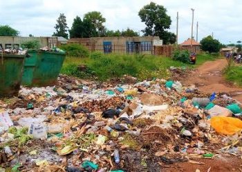 Members of parliament propose a motion for gov’t to establish waste management fund