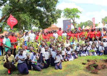 Students to plant and protect 120,000 trees an initiative of Absa bank, Rotary and my tree my initiative
