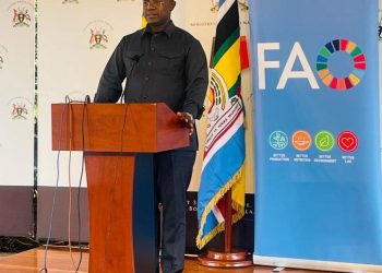 Enhanced seeds bolster resilience to climate disruptions-Minister