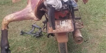 11 arrested over cattle theft in Nakasongola