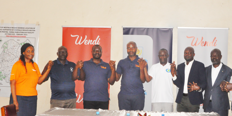 Wendi mobile wallet platform is designed to enable people have access to financial services