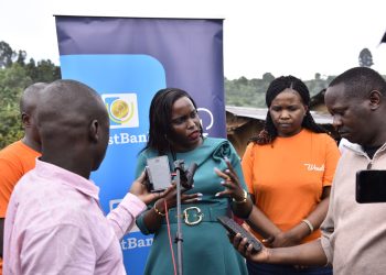 Wendi by PostBank Partners with IFDC to Improve Financial Access to Farmers