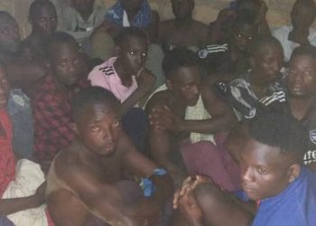 Security arrests 36 suspected criminal,  recover narcotic drugs