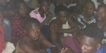 Security arrests 36 suspected criminal,  recover narcotic drugs