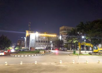 UWA, KCCA relocate urban birds to facilitate the redesign of city junctions