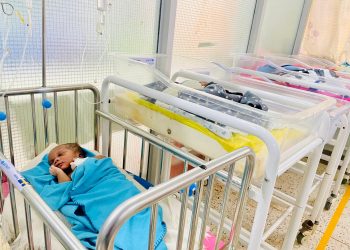 West Nile registers positive trend in the survival of preterm infants