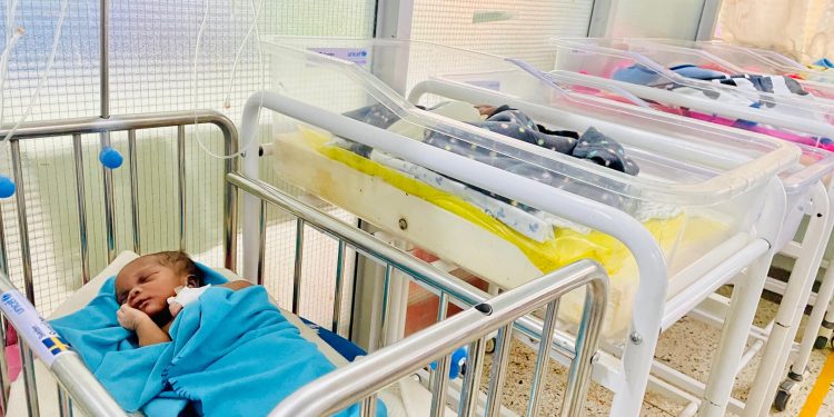 The survival rate for these vulnerable babies has reached an impressive 90%.