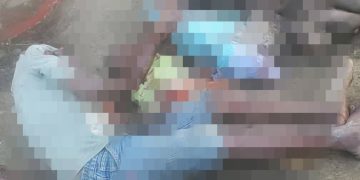 Brothers massacre family members for rejecting their new cult