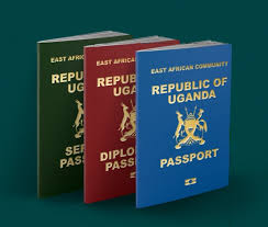 Government warns of conmen after lawyer is fleeced in passport acquisition