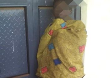 Police dog apprehends murder suspect