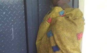 Police dog apprehends murder suspect