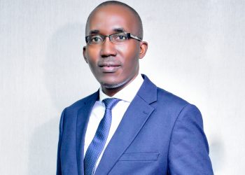 Why algorithms are crucial to addressing the world’s environment issues