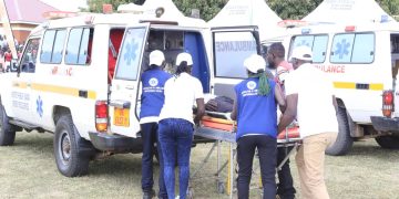 Curbing road carnage requires concerted effort-Vice President Alupo