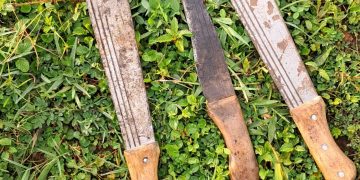 Notorious thug shot dead in Mukono robbery incident