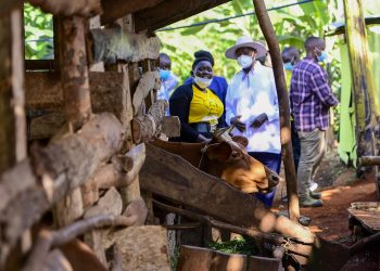 PDM loans: Beneficiaries to get full amount