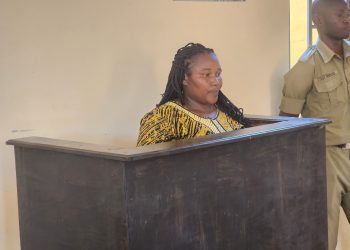 Housemaid Sentenced to 40 Years for Torturing 4-Year-Old Child