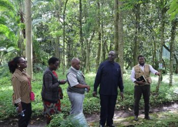 NFA’s GIS and Mapping Unit Enhances Carbon Sequestration Monitoring for Global Entities