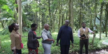 NFA’s GIS and Mapping Unit Enhances Carbon Sequestration Monitoring for Global Entities