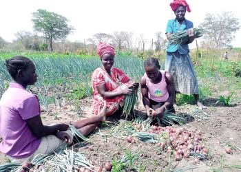 Agricultural scientists launch a book to assist African farmers in enhancing and maintaining soil fertility