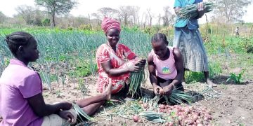 Agricultural scientists launch a book to assist African farmers in enhancing and maintaining soil fertility