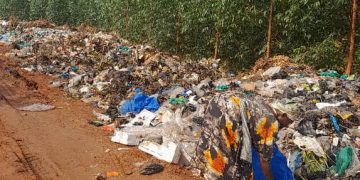 Critics Slam KCCA for Unlawful Garbage Dumping in Buto-Buvuma Forest Reserve and Wetland