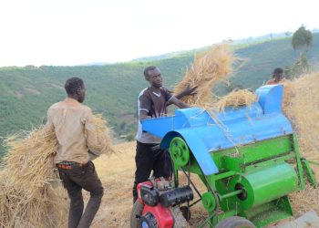 Kween farmers applaud Uganda Breweries for providing a ready market for barley