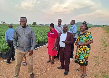 Why Buvuma Island still faces challenges in service delivery?