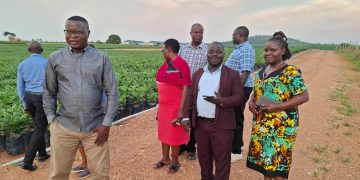 Why Buvuma Island still faces challenges in service delivery?