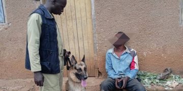 Police dog leads to arrest in murder investigation