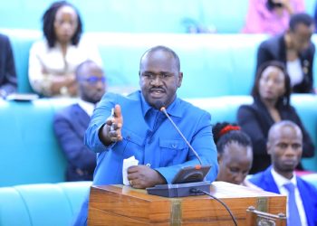 MPs raise concern about the conduct of game rangers in national parks