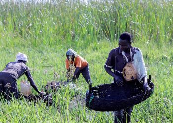 CSOs urged to collaborate towards the ongoing crisis after USAID funding withdrawal