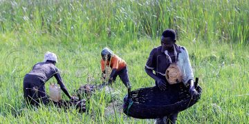 CSOs urged to collaborate towards the ongoing crisis after USAID funding withdrawal