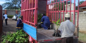 Mpigi farmers hail AGT Laboratories for supporting them with new farming technologies