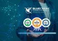 Blue Crane Communications Achieves Triple ISO Certification to Strengthen Its Position in the Internet and IT Services Industry