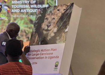 Uganda Launches 10-Year Plan to Boost Large Carnivore Conservation