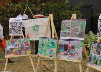 Uganda Refugee Resilience Initiative (URRI) launched