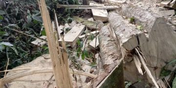 NFA Arrests Three Key Culprits in Mabira Forest Destruction