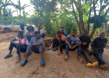 NFA Law Enforcement Arrests 10 Suspects for Illegal Forest Activities in Mabira Central Forest Reserve