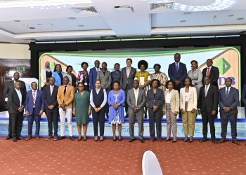 UDB launches RISE program to facilitate sustainable development