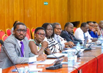 MPs urge stronger enforcement of drug dispensation laws