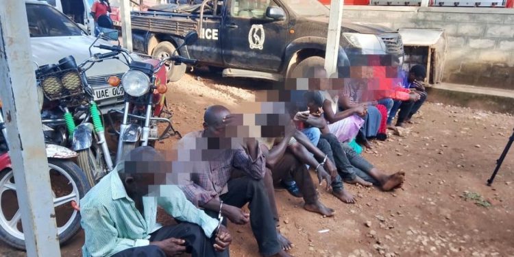 Suspects paraded at Police