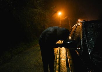 4,890 vehicles stolen in 2024