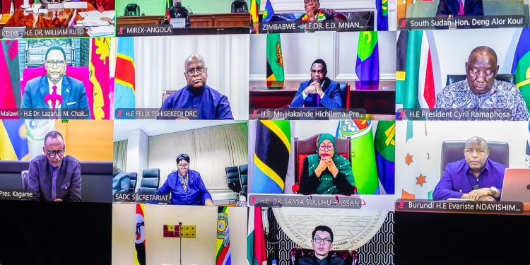 Leaders attending the Summit virtually.