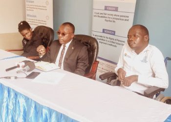 Government should  provide free legal aid services for Persons with disabilities who are GBV survivors -NUDIPU