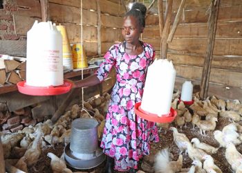 The Story of Loy and the Impact of the SAYE Project in Busoga