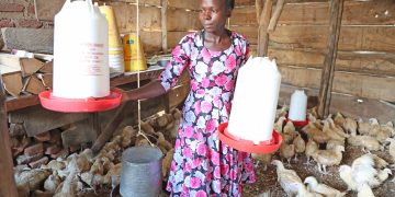 The Story of Loy and the Impact of the SAYE Project in Busoga