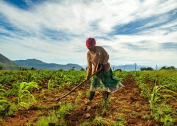 How FINCA Uganda Is Powering Uganda’s Agricultural Revival